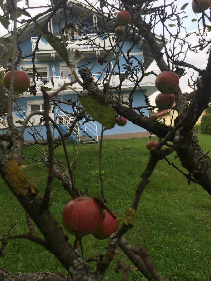 Pension Lipusch Sankt Veit im Jauntal Dış mekan fotoğraf